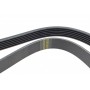 Ремінь генератора Lexus RX 03-08/Fiat Brava/Bravo 1.6/1.9D 96-14 (6PK1040)