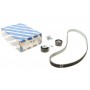 Комплект ГРМ Citroen Berlingo/Jumpy/Peugeot Partner 1.6HDI/Fiat Scudo 2.0D 08- (25.4x141z)