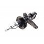Амортизатор (передній) Land Rover Freelander 00-06 (L)