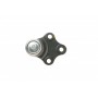 Опора кульова (передня/знизу) Citroen Berlingo/Peugeot Partner 1.8i/1.9D 96-08