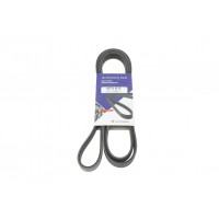 Ремінь генератора Audi/BMW/Chevrolet/MB/Opel (6PK1875)
