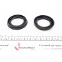 Ремкомплект супорта (переднього) Iveco Daily 06-11 (d=60mm) (+2 поршня) (Brembo)