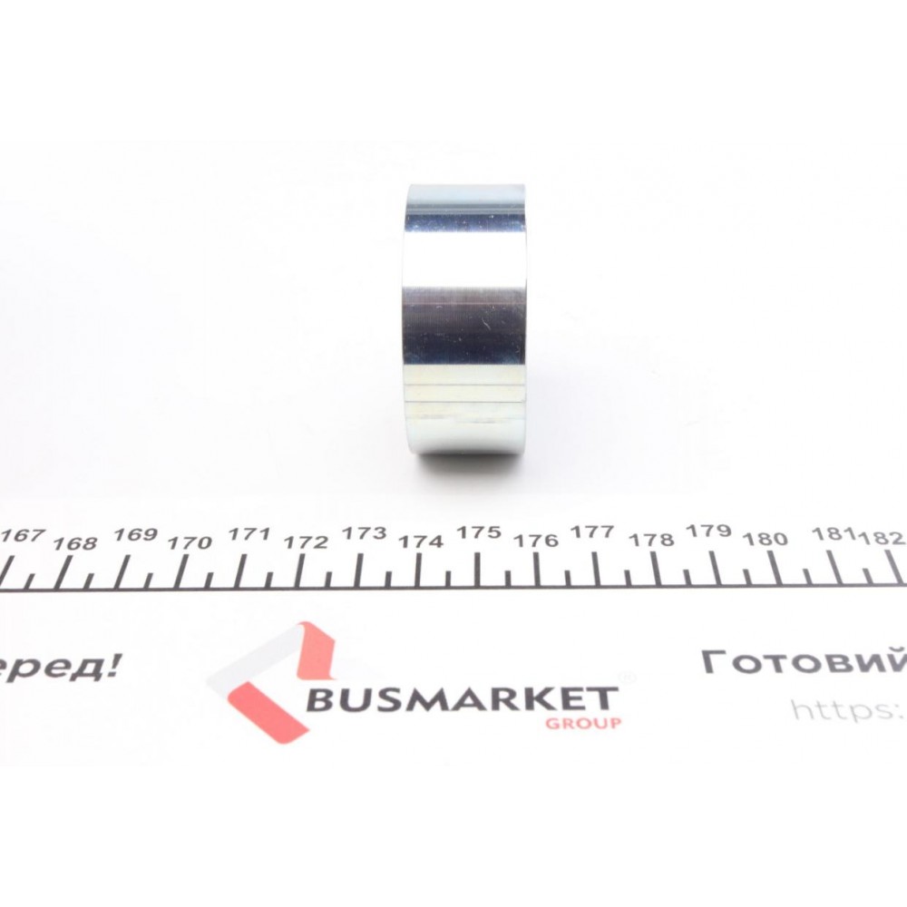 Ролик ГРМ BMW 3 (E30)/5 (E34) 89-95 (паразитний) (50х21) (MPQ0860)