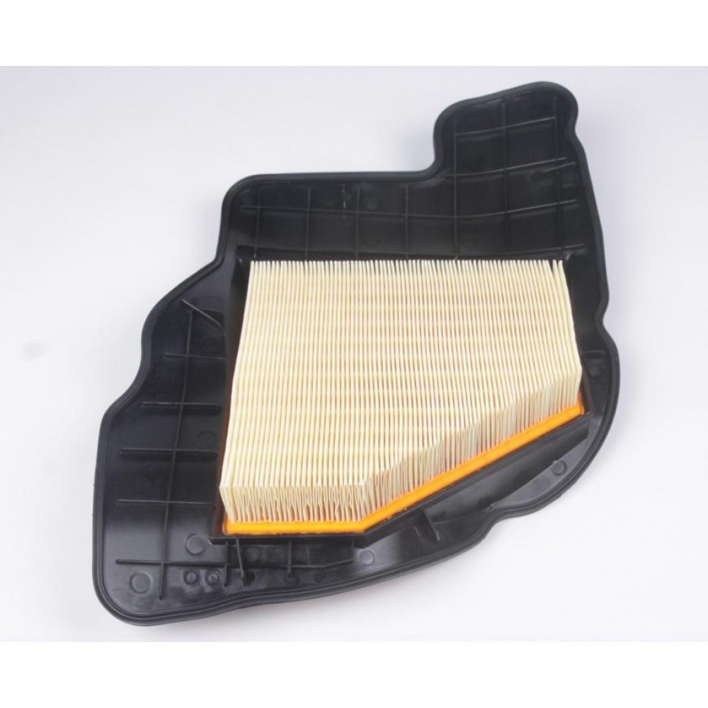 Фільтр повітряний (R) BMW X5 (E70)/5 (F10) 4.4i 09-