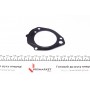 Прокладка насосу паливного MB Vario 4.3D 96-