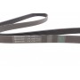 Ремінь генератора BMW 7 (E65/E66/E67) 4.0/4.5D 02-08/Honda Accord 2.0 03-08