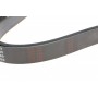 Ремінь генератора VW LT 2.8TDI/ Suzuki Grand Vitara 2.0 HDI 01-05/ Audi 80/ A6/ A8 2.6-2.8 91- 97