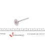 Клапан (впуск) Citroen C2/C3/Peugeot 206/307/Mazda 2 1.4HDi 01- (32.8x5.5x97.5) (азотування)