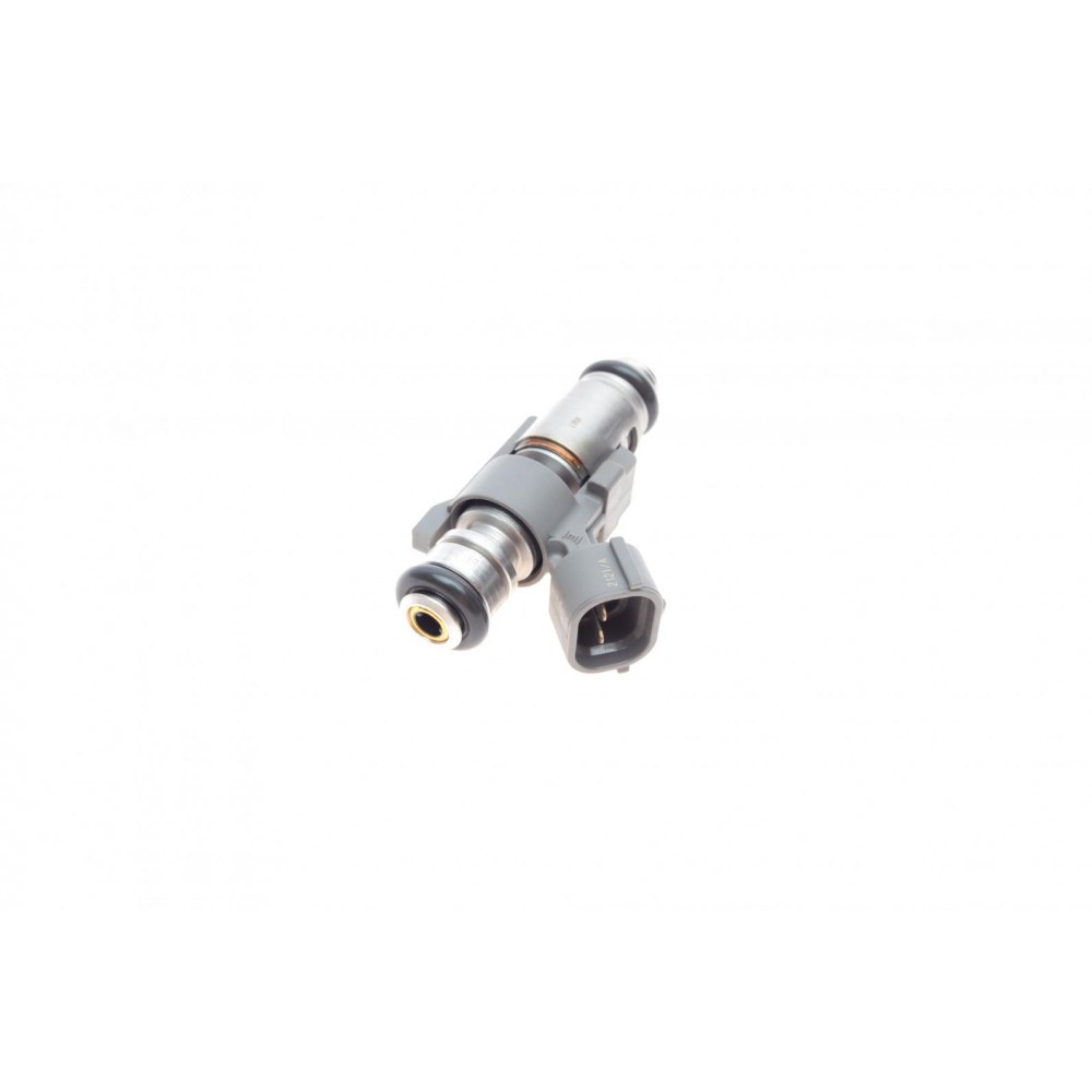 Форсунка бензинова Citroen C2/C3/C4/Peugeot 1007/206/207/307 00- (IPM012)