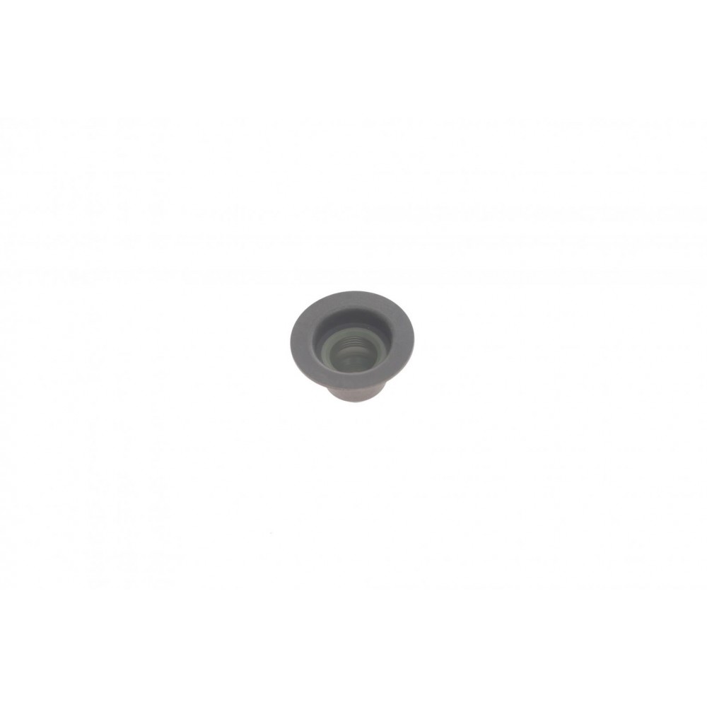 Сальник клапана (впуск/випуск) Opel Astra G 2.2 16V 00-05 (6x10/25x16)