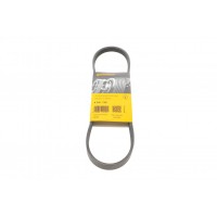 Ремінь генератора Ford Transit 2.0 TDCI 00-06
