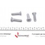 Підшипник маточини (передньої) VW Crafter II/Man TGE 16- (к-кт)