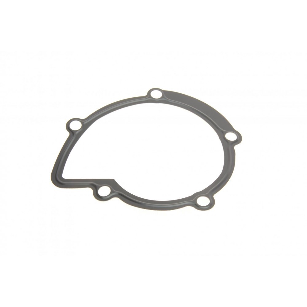 Помпа води Citroen C4/C5/C8/Jumpy/Fiat Scudo/Peugeot 308/407/508/Ford Focus/Mondeo 2.0HDi/TDCi 09-