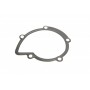 Помпа води Citroen C4/C5/C8/Jumpy/Fiat Scudo/Peugeot 308/407/508/Ford Focus/Mondeo 2.0HDi/TDCi 09-
