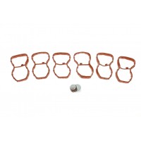 Прокладка колектора впускного BMW 3 (F30/F80)/5 (F10)/7 (F01/F02/F03/F04)/X5 (E70/F15/F85) 10- N57 (к-кт)