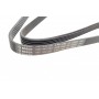 Ремінь генератора Opel Corsa 1.0/1.2 00-09 (5PK1360)