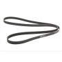 Ремінь генератора MB C-class (W202) 93-01/E-class (W124) 93-98/Ssangyong Korando 96-06/Dodge 06-