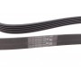 Ремінь генератора Ford Focus 1.4/1.6 98-05/Toyota Rav4 1.8 00-05/Daewoo Nubira 1.8/2.0 99-