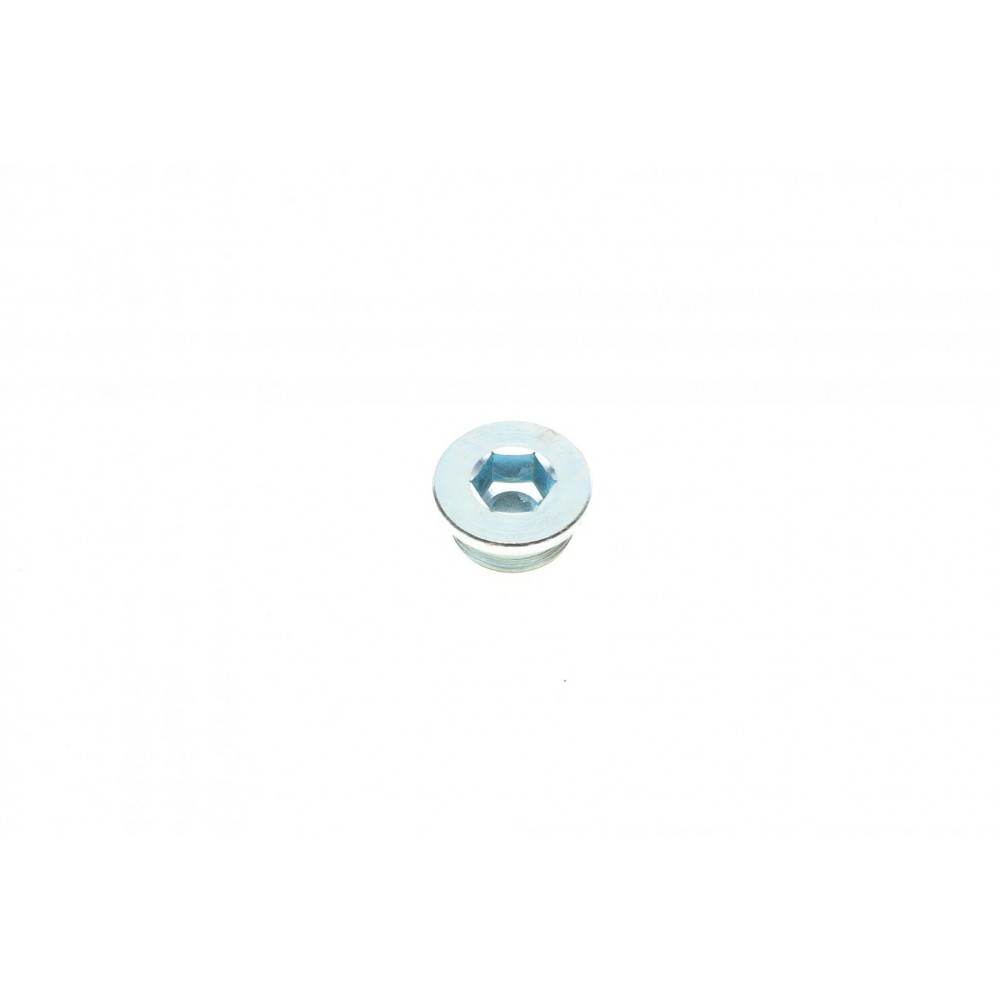 Болт зливу оливи + шайба Fiat Ducato 94- (M22x1,5)