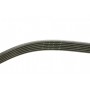 Ремінь генератора Citroen Jumper/Peugeot Boxer 2.0 94-, (XU10J2), (+AC)
