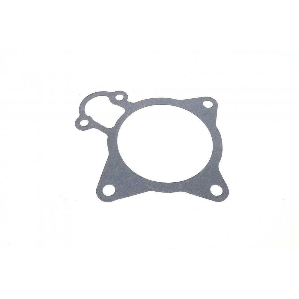 Прокладка помпи води Citroen Jumper/Fiat Ducato/Peugeot Boxer 3.0 HDi 06-