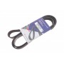 Ремінь генератора Chrysler Cruiser 2.2 CRD 02-10 (6PK1600)