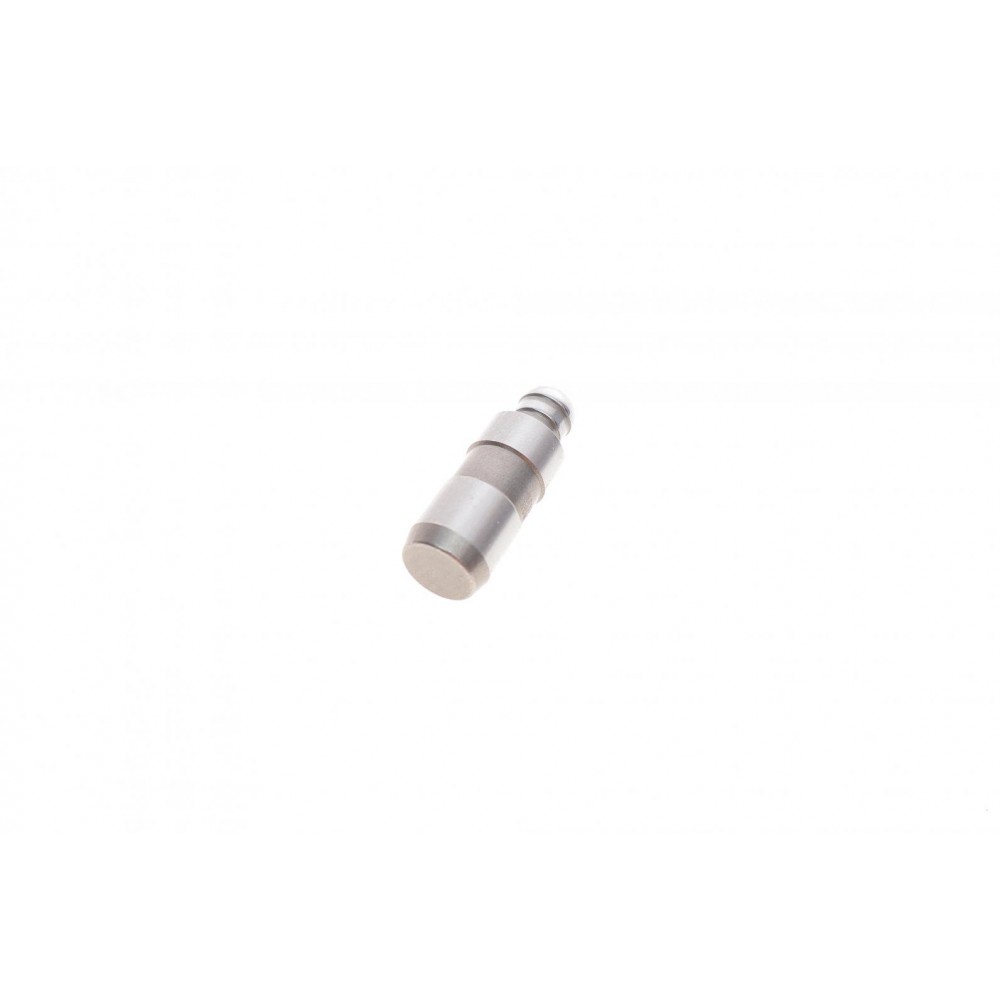 Гідрокомпенсатор Citroen Jumpy/Peugeot Expert 2.0 HDi 07-16 (DW10BTED4)