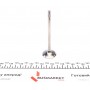 Клапан (випуск) Citroen C2/C3/Peugeot 206/307/Mazda 2 1.4HDi 01- (30.2x5.5x97.5) (азотування)