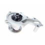 Комплект ГРМ + помпа Ford Focus III/Fiesta VI/VII/Transit Courier 1.0-1.1 12-