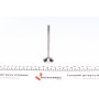 Клапан (випуск) VW Caddy III 1.2TSI 10-15 (30x6x98.4) (азотований)