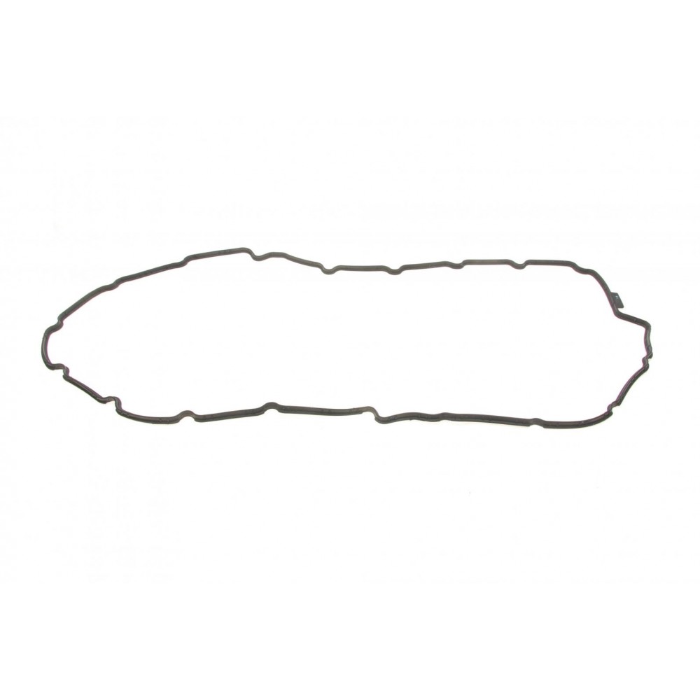 Прокладка кришки клапанів BMW 3 (E90-E93)/5 (E60/E61/F10/F11)/X5 (E70) 2.5/3.0 05- N51/N52 (к-кт)