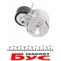 Натяжник ременя генератора Citroen Berlingo/Peugeot Partner 1.6HDi 06- (53x25)
