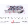 Вкладиші корінні Fiat Ducato 2.3 JTD (+0.25) = 6020242500