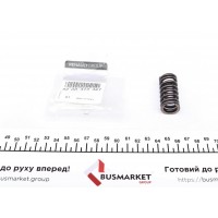 Пружина клапана Renault Kangoo/Logan