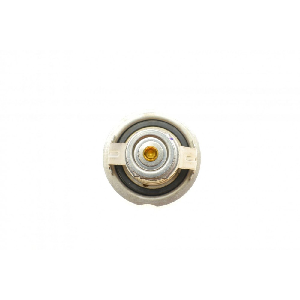 Термостат VW T4/T5/Audi A4/A5 2.0TSI/TFSI 02-