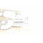Прокладка радіатора масляного BMW 1 (F20/F21)/3 (E90/E91)/4 (F32/F82) 1.6D/2.0D/3.0D 06- N47