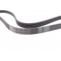 Ремінь генератора Ford Focus 1.8 TDCi 05-12/Skoda Octavia/VW Lupo/Seat Arosa 1.4 i 99-01