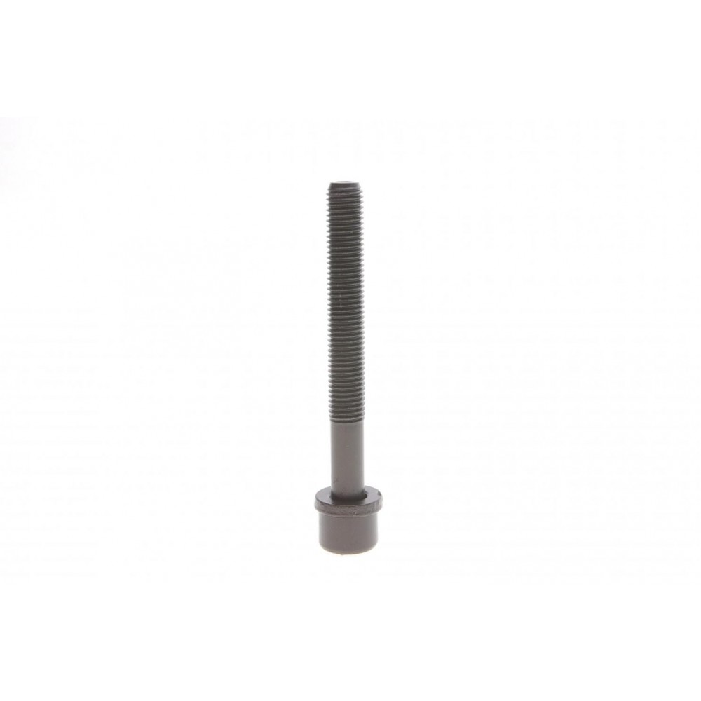 Болти головки (к-кт 10шт.) Audi 100/A4/VW Polo/Golf 1.3-2.0 90- (96mm)