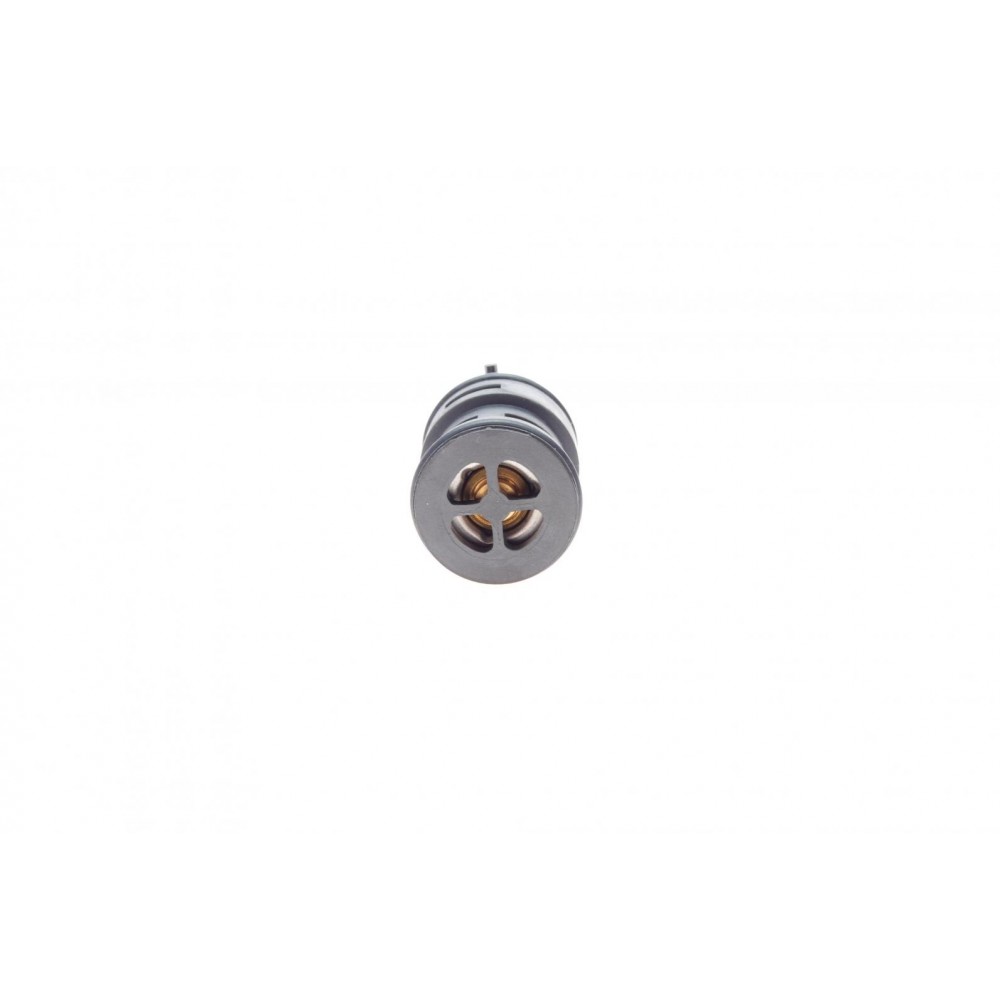 Термостат BMW 3 (E46) 1.6i-3.0i 98-06 M43/M52/M54/N42/N46