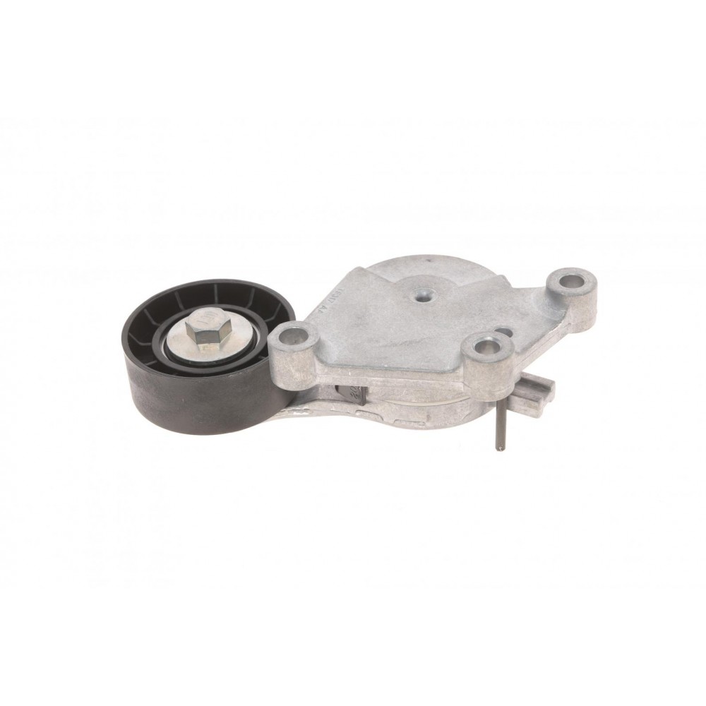 Натяжник ременя генератора Citroen/Peugeot/Ford 1.4HDi/1.6TDCi 01-