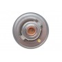 Термостат Renault Master II/Trafic 2.4-2.8D/TD/dTI 89-01 (82°C)