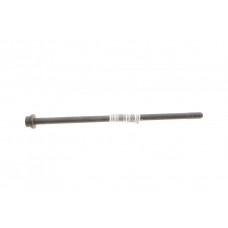 Болт кріплення форсунки VW Touareg 03-10 (M12x285x25)