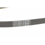 Ремінь генератора Opel Combo/Astra G 1.4-1.8 98-10/Kia Ceed/Rio 1.2/1.4 14-/Hyundai i20/i30 1.4 14-