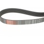 Ремінь генератора Citroen Nemo/Fiat Fiorino/Peugeot 206 1.4/1.8 03- (6PK1225)