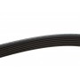 Ремінь генератора BMW 5 (E39)/7 (E38) 3.5i/4.0i 96-03 (7PK1635)