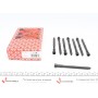 Болти головки (к-кт 8шт.) VW Passat 2.0i 01-05 (M10x132mm)