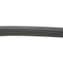 Ремінь генератора Citroen C5/Renault Laguna 3.0i 01-