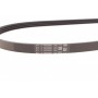 Ремінь генератора Suzuki Grand Vitara 2.5 V6 24V/2.7 01-03/Vitara 2.0 V6 24V 94-98/Toyota Starlet