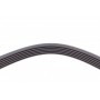 Ремінь генератора Ford Focus 1.8 TDCi 05-12/Skoda Octavia/VW Lupo/Seat Arosa 1.4 i 99-01