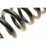 Пружина (задня) MB E-class (W211) 02-08 (ос:Classic/Elegance)